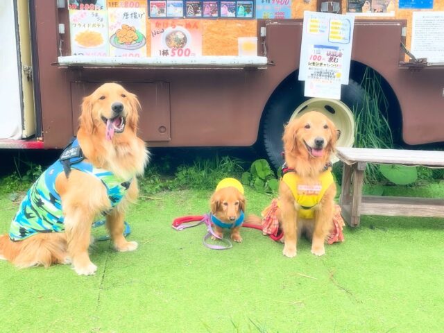 可愛いお客さま🐶🐾
ご来店頂きました‎(ᐢ⸝⸝>̶̥̥̥᷄ ·̫ <̶̥̥̥᷅⸝⸝ᐢ)꜆꜄💕

沢山もふらせて頂き
✨️🍀幸せ🍀✨️メーター
フル充電⚡️🔋
させて頂きました♪( ˶ᵔᵕᵔ˶و)و "‬

蔵王☆どまんなか広場
ワンちゃん🐶🐾
ニャンちゃん🐈🐾
のご来店も大歓迎💝
ですので 是非一緒に遊びに
来てくださーい(｣´ᗜ`)｣🩵

https://zao-domannaka.com/

 #蔵王
 #蔵王盛り上げたい‼️ 
 #蔵王温泉
 #蔵王キッチンカー
 #蔵王どまんなか
 #蔵王ソフトクリーム
 #蔵王キャンプ場
 #ワンちゃん歓迎
 #ニャンちゃん歓迎
